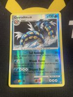 Gyarados Rev. Holo 19/100 Sturmtief