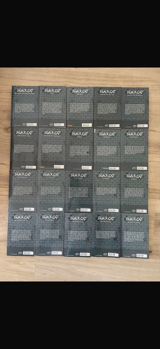 Fumetti: Black Cat 1-20 Komplett Manga – Usato da Hagendorn venduto da masterchieff 1