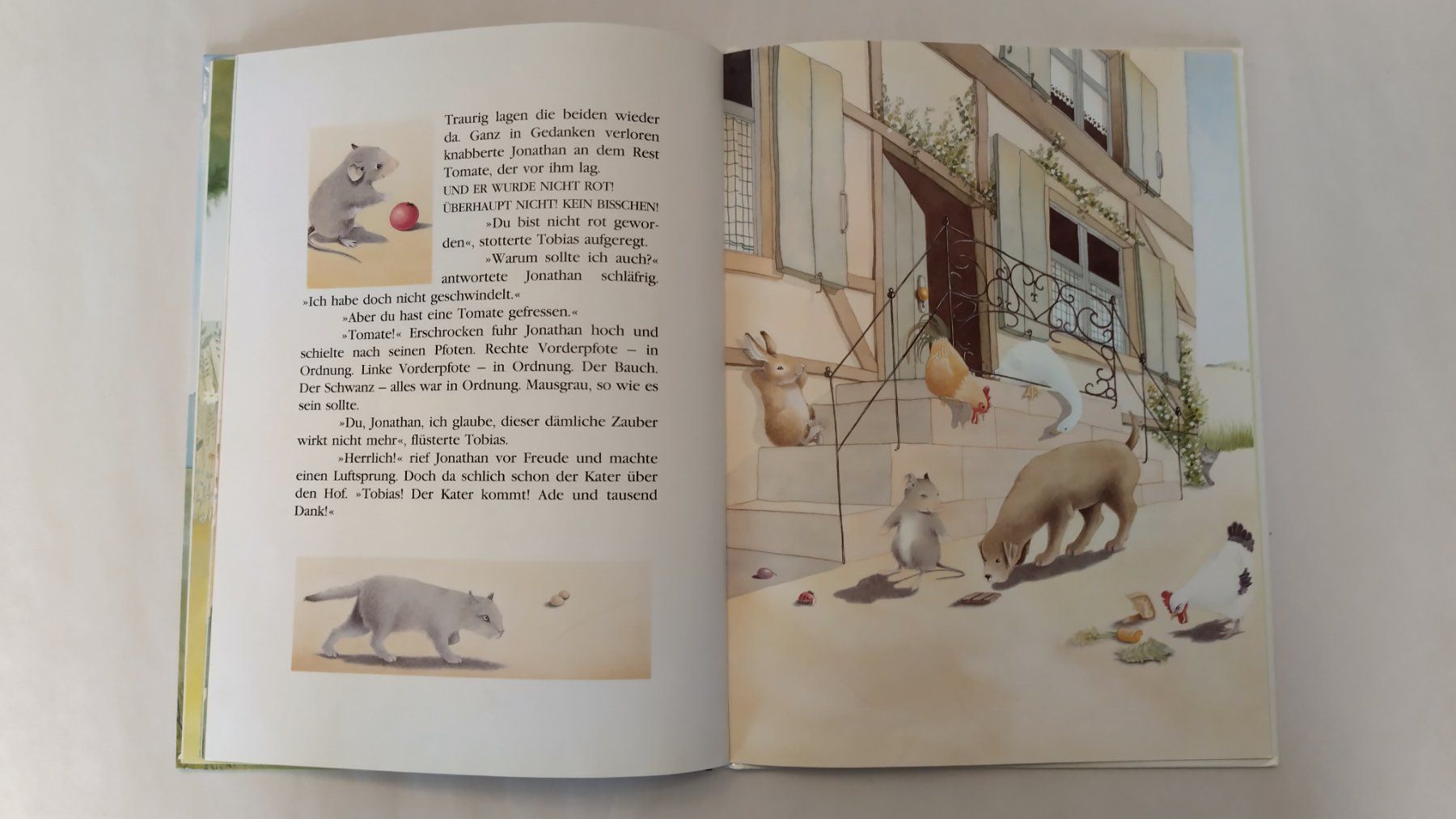 Libri: Maus Jonathan - Die freche Maus / Bilderbuch ab Fr. 8.- – Usato da Bellach venduto da JingleJerry 6