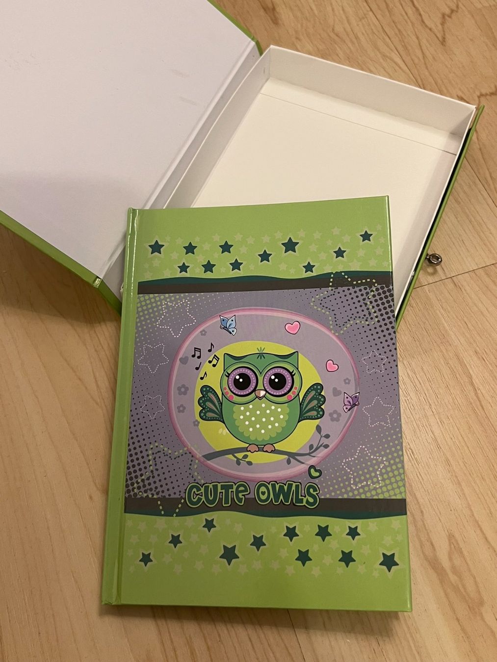 Bücher: Tagebuch mit Schloss, Eulen Motiv #48 – Neu und originalverpackt aus Wildegg von Car-Mania 2