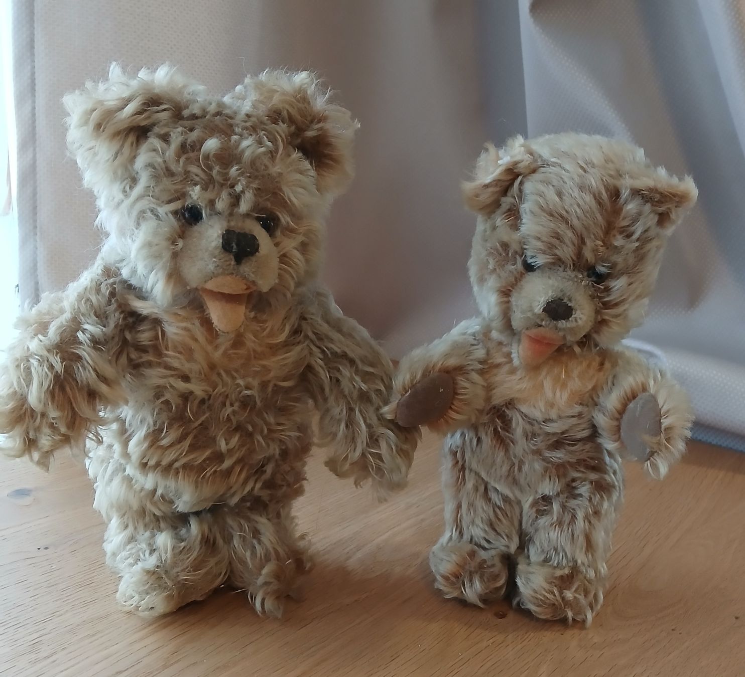 Teddy Hermann Jouets: Hermann Teddybäre, Rarität! – D'occasion à Frasnacht par ale_g288
