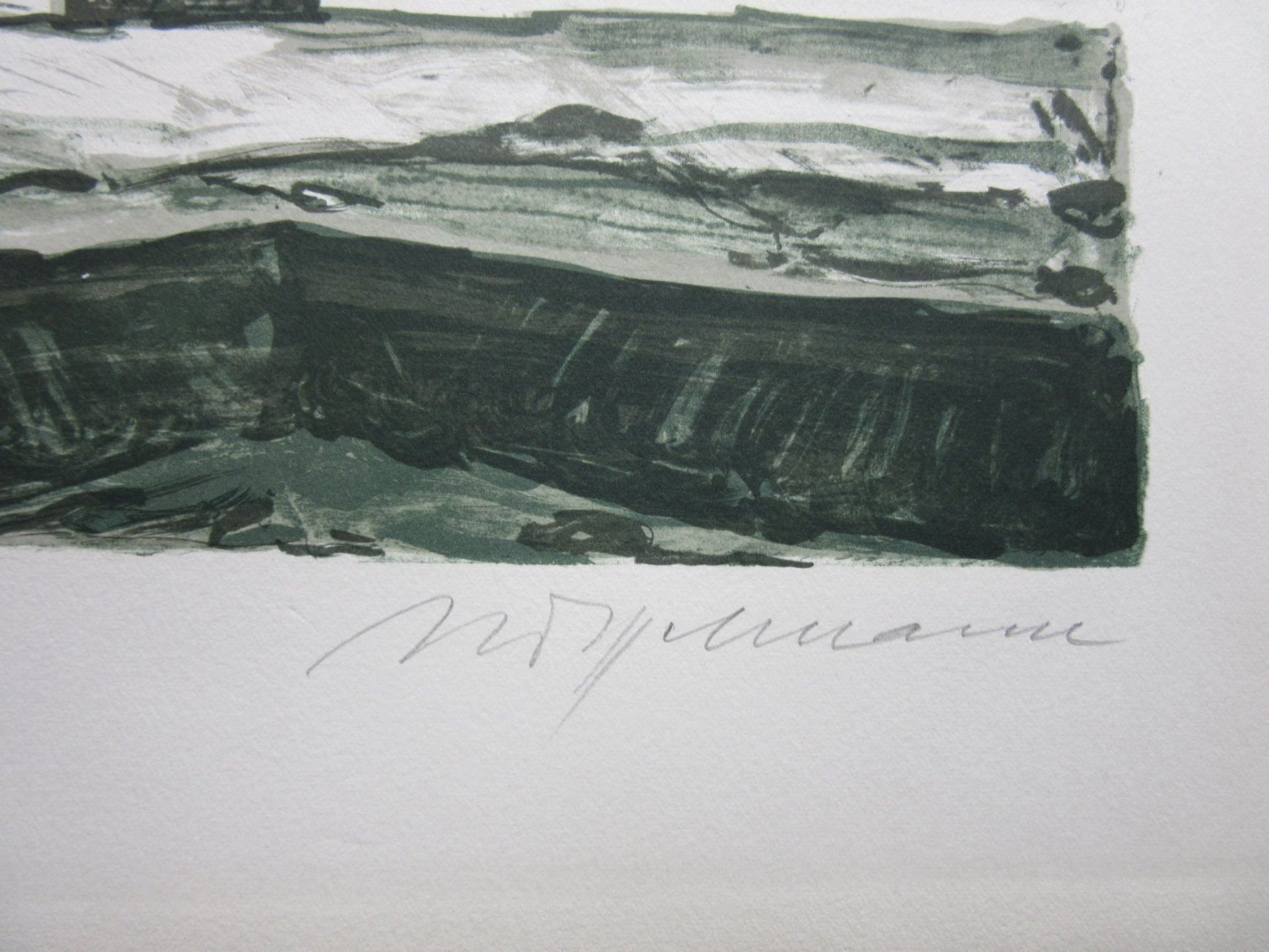 Arts picturaux & lithographies: Diggelmann Alex Walter  LITHOGRAPHIE SIGNIERT – D'occasion à Gersau par grafik-kunst 2