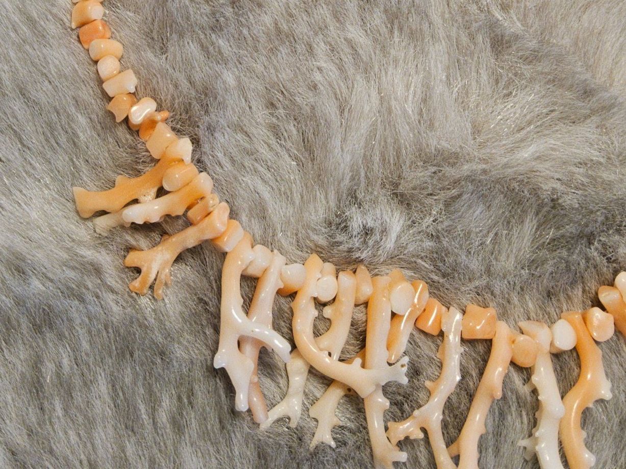 Catenine: Schicke Engelshautkoralle Halskette Chocker Collier – Usato da Zürich venduto da SciTec 3