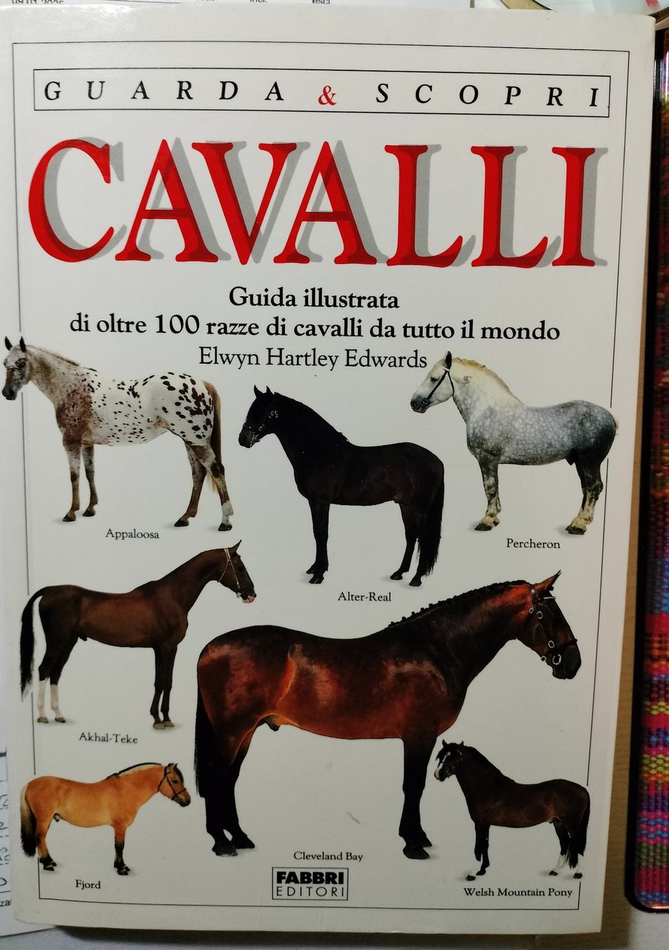 Libri: Libro sui Cavalli – Usato da Capolago venduto da sco_7ywt