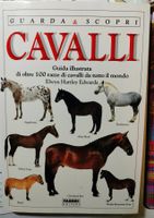 Libro sui Cavalli