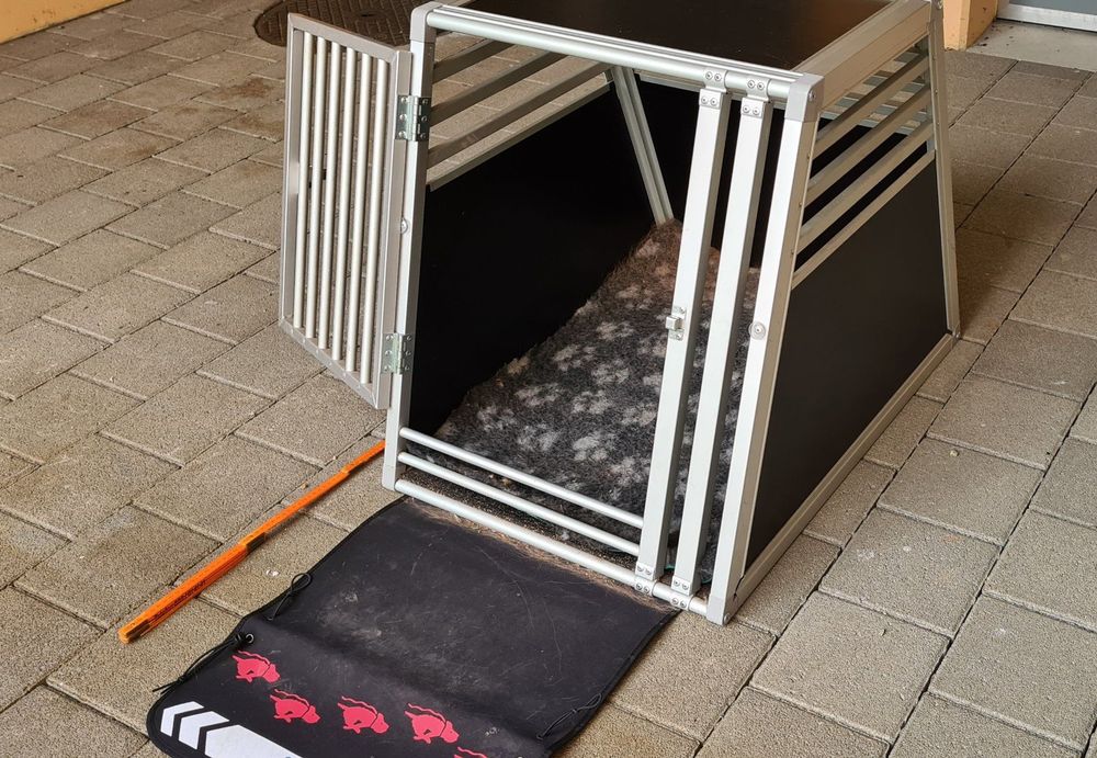 THAIN Hundehalsband, Personalisierbar Für Männlic Produktbild-Vorschau 3