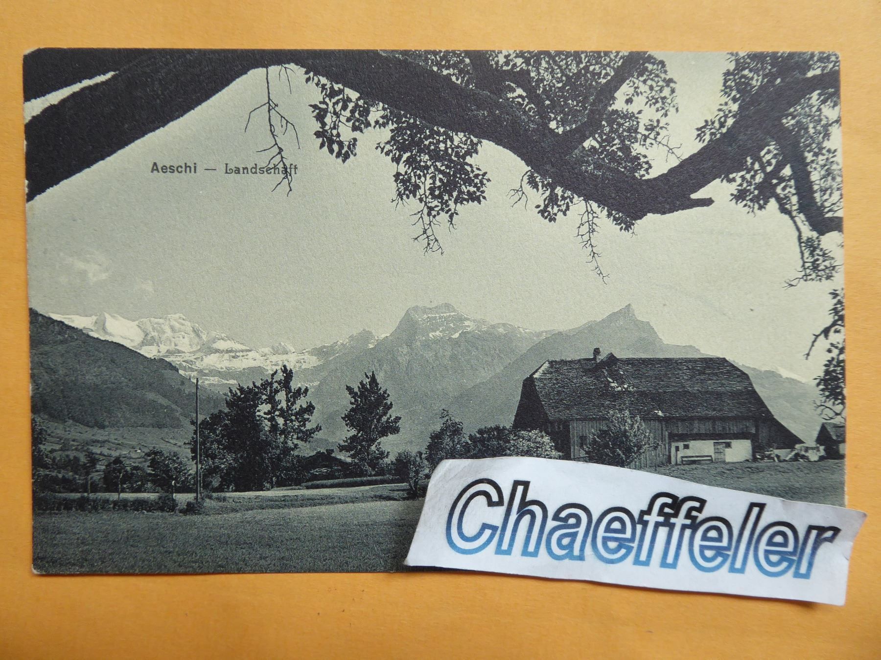 Cartes postales: 1911 Aeschi - Landschaft – Neuf (Voir description) à Zürich par Chaeffeler