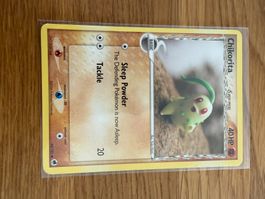 Chikorita 44/101