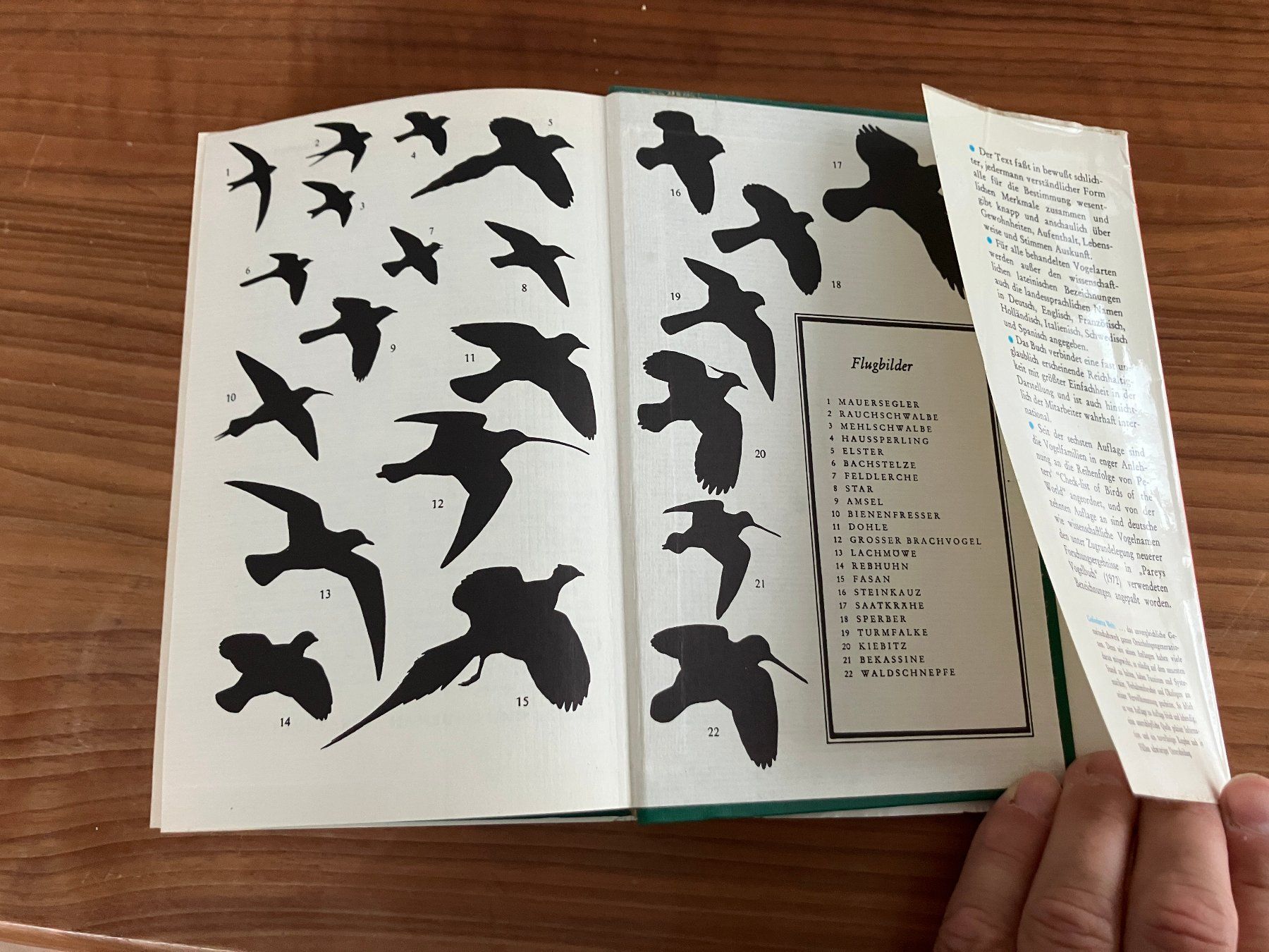 Bücher: Buch - Die Vögel Europas - antik – Gebraucht aus Lindau von PrinterGuy 6
