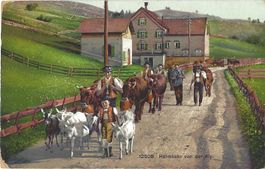12505    Heimkehr  von  der  Alp  (Brunnen?)