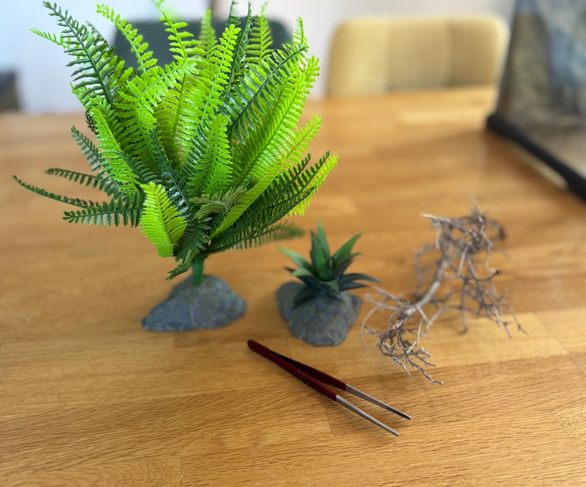 Exo terra Terrario: Exo Terra Terrarium 30cmx30cmx30cm – Usato da Holderbank SO venduto da Nicoo93 1