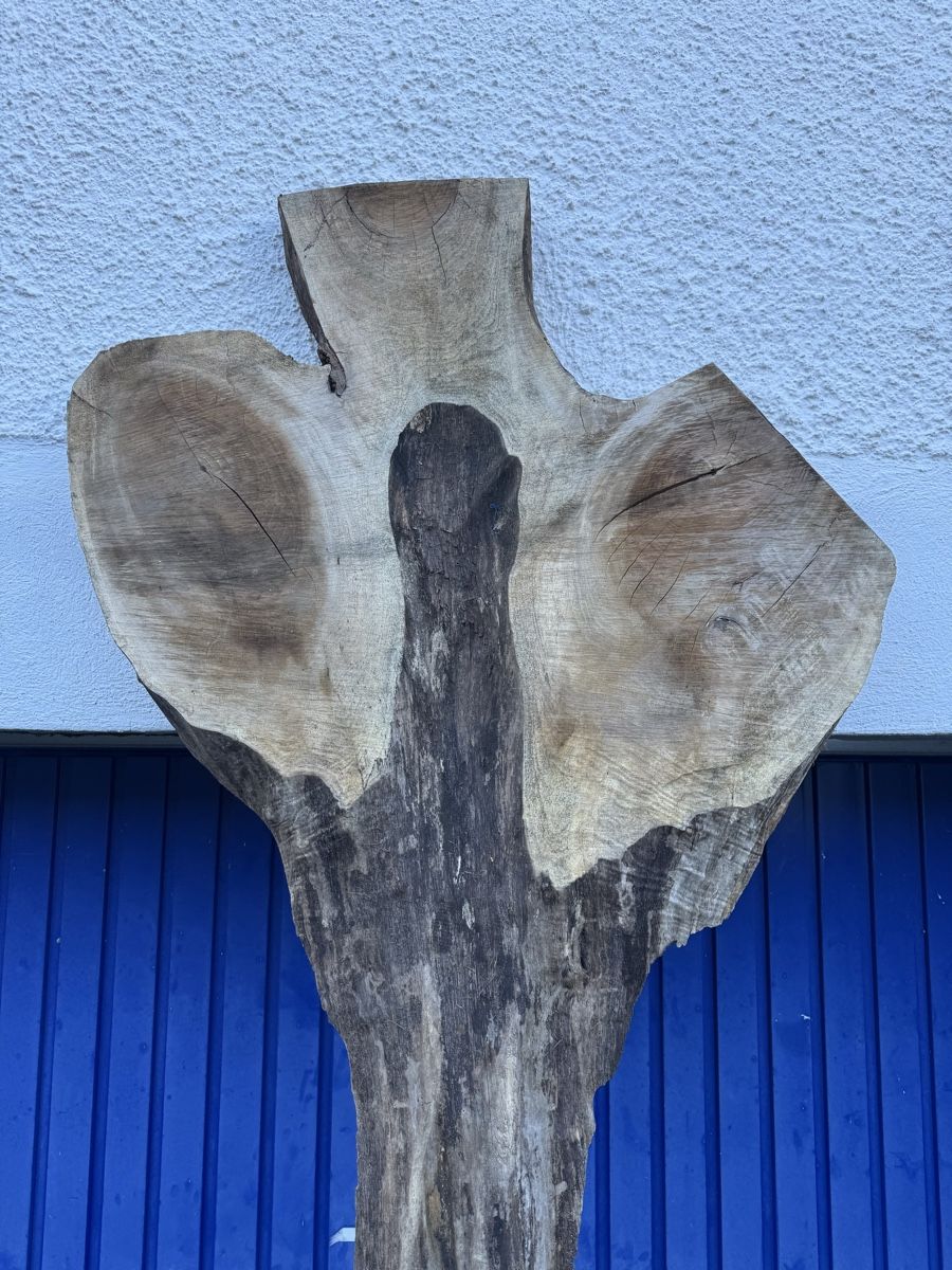 Articoli in legno: Nussbaum Klotzbrett 260  cm lang! – Usato da Gränichen venduto da onkel_xxl 1