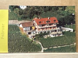 AK von Domaine de la Croix Duplex