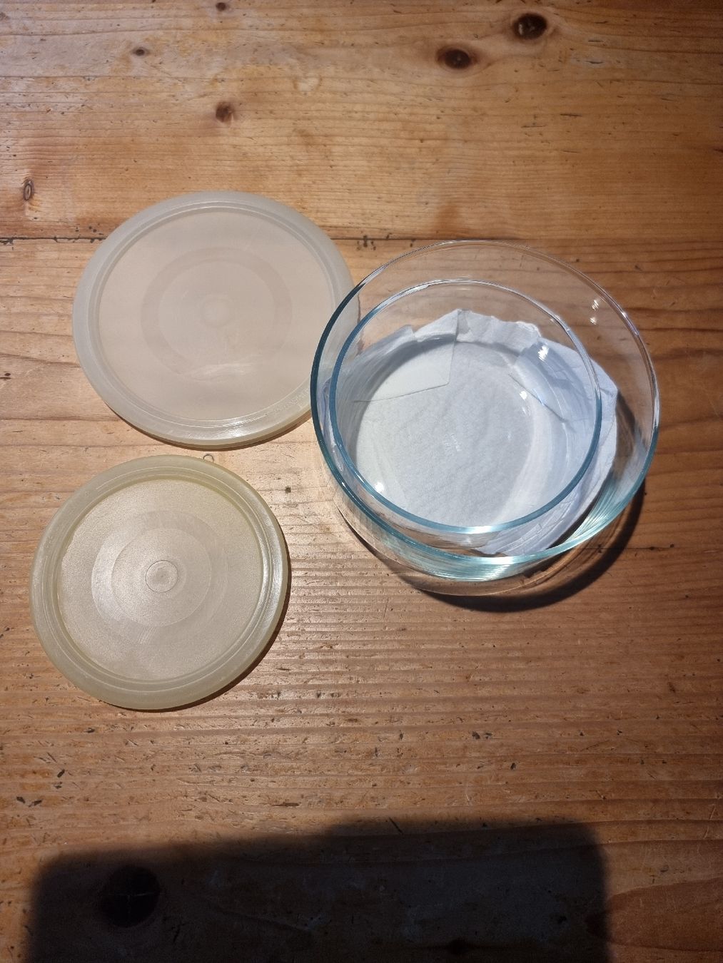 Bicchieri: 2 Glas schüsseln – Usato da Niederglatt ZH venduto da niw_x52f