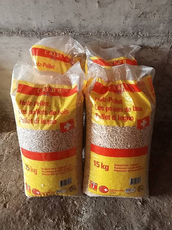 Stufe caminetto: Pellet Ofen Thermorossi Urban Evo – Usato da Rothenburg venduto da Delacom 4