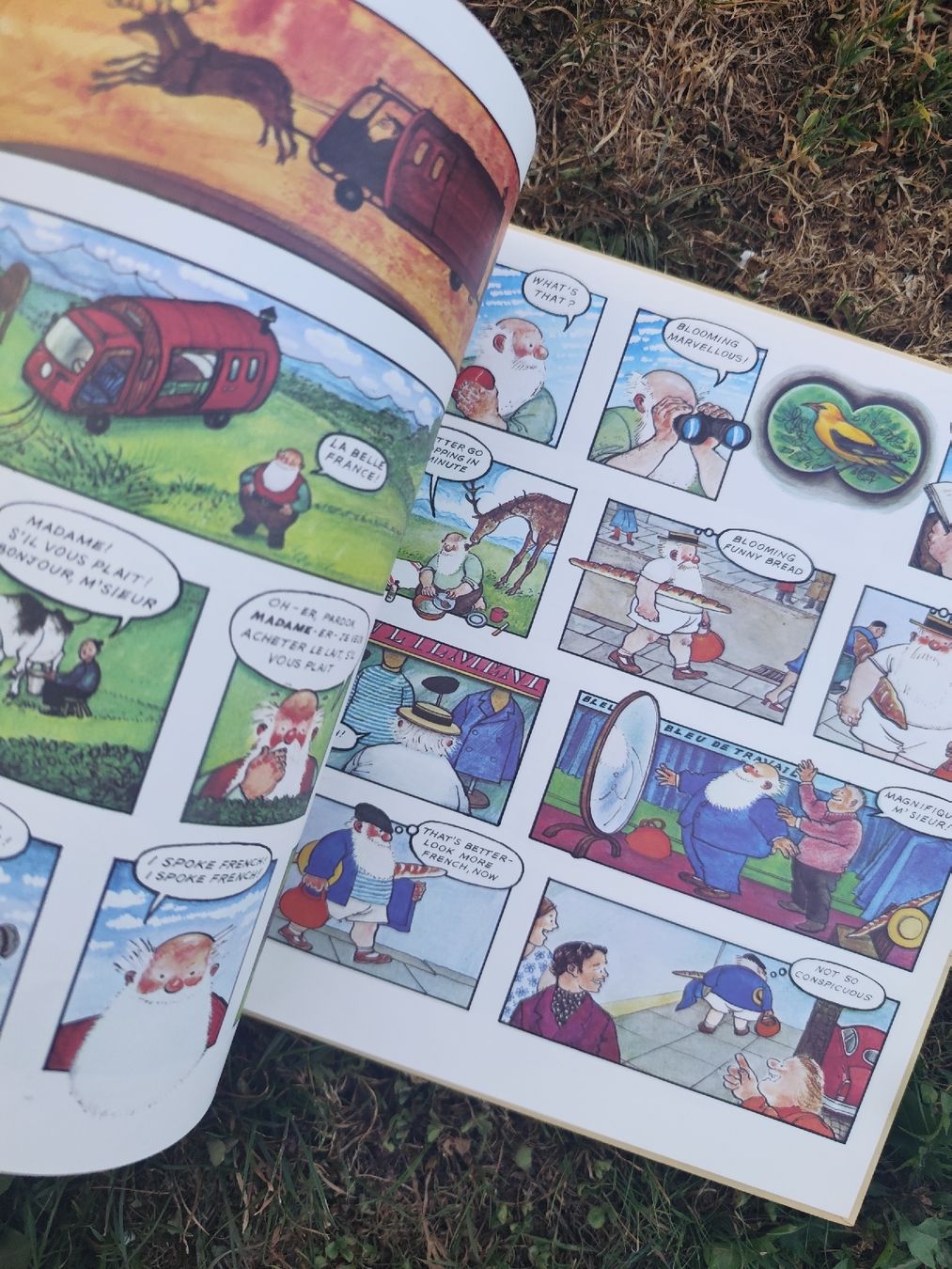 Bücher: The Complete Father Christmas Raymond Briggs Book – Gebraucht aus Mägenwil von VintageGirly 6
