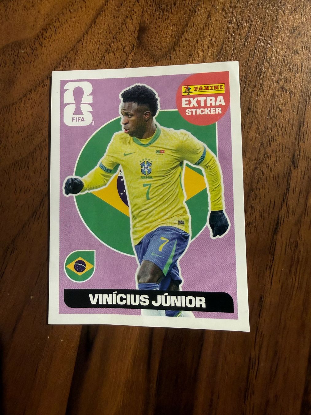 Panini Carte collezionabili: Panini Extra Sticker Vinicius Junior – Usato da Dällikon venduto da Scuf_Umbau
