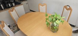 Grande table à manger ovale en bois  extensible + 6 chaises