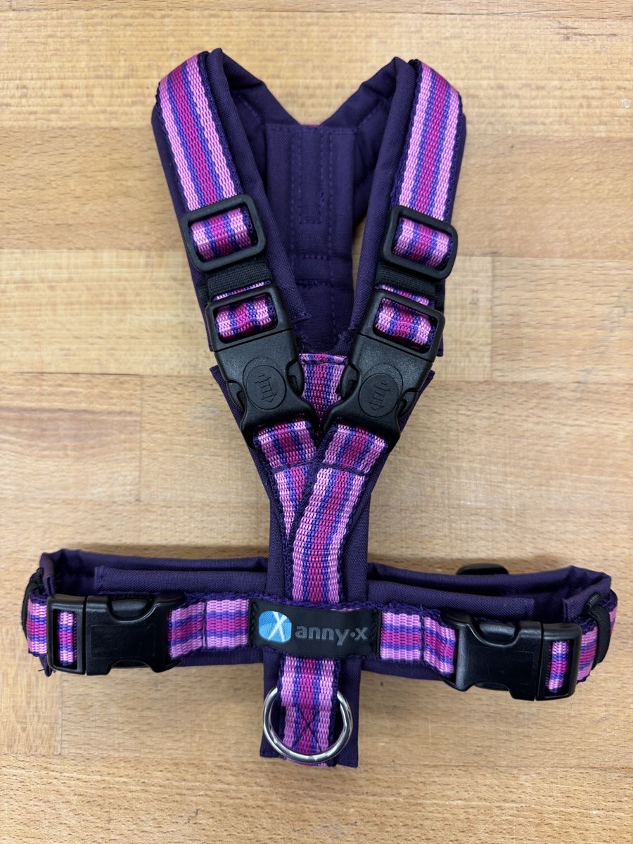 Anny X Abbigliamento: Anny-X Brustgeschirr Grösse XS – Nuovo (secondo la descrizione) da Hinwil venduto da peperoni33