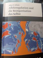 Affektregulation und die Reorganisation des Selbst