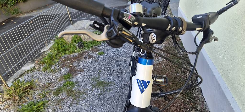 Biciclette: E-bike Wheeler – Usato da Aadorf venduto da BrunusBike 4