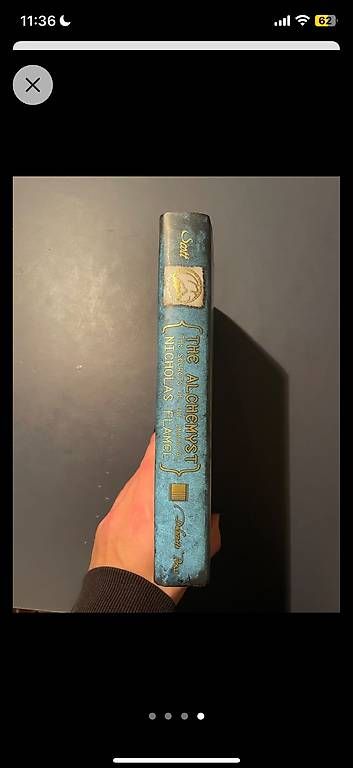 Bücher: The Alchemyst - Michael Scott – Gebraucht aus Bern von aij_cs5m 3