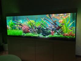 Aquarium 60L mit Zubehör a. Komplettset (Wert Fr.485.00)