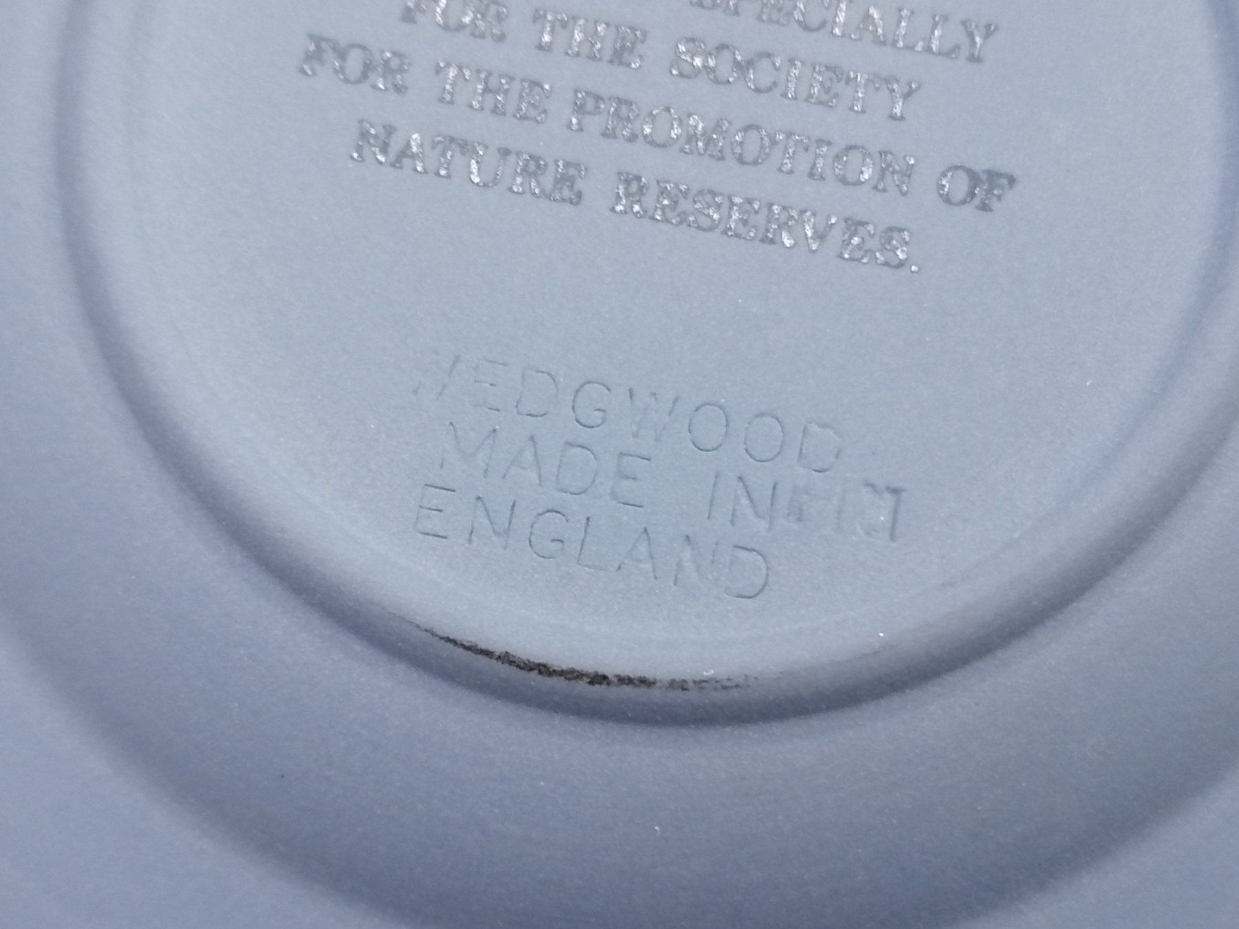 Wedgwood Piatti: Wedgwood Jasperware Teller / Schale, Nature  Reserves – Usato da Basel venduto da vintagecollector 3