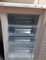 Novamatic TF 100-18 Gefrierschrank in gutem Zustand
