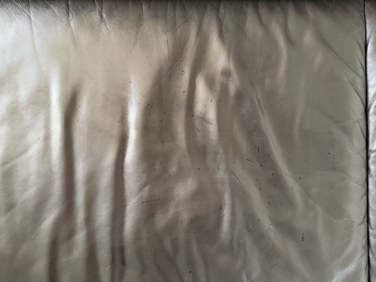 Sofas: Bullfrog Designersofa in Leder – Gebraucht aus Mauren von dej_j6f5 4