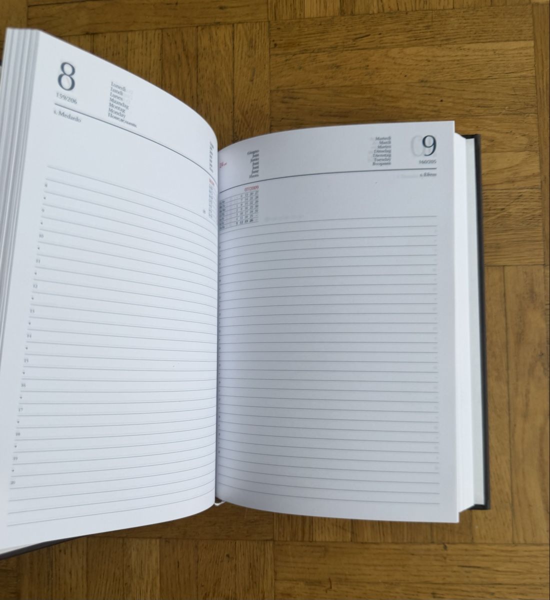 Calendari: Agenda Moka Efti 2009 – Nuovo e nell'imballaggio originale da S. Pietro venduto da fil_yhb9 2