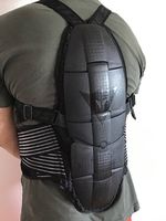 Protection dorsale DAINESE