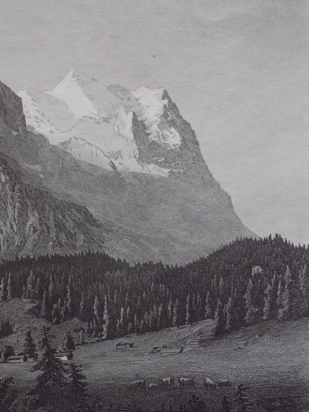 Gravures: Wellhorn Wetterhorn – D'occasion à Risch par Rischli15 5
