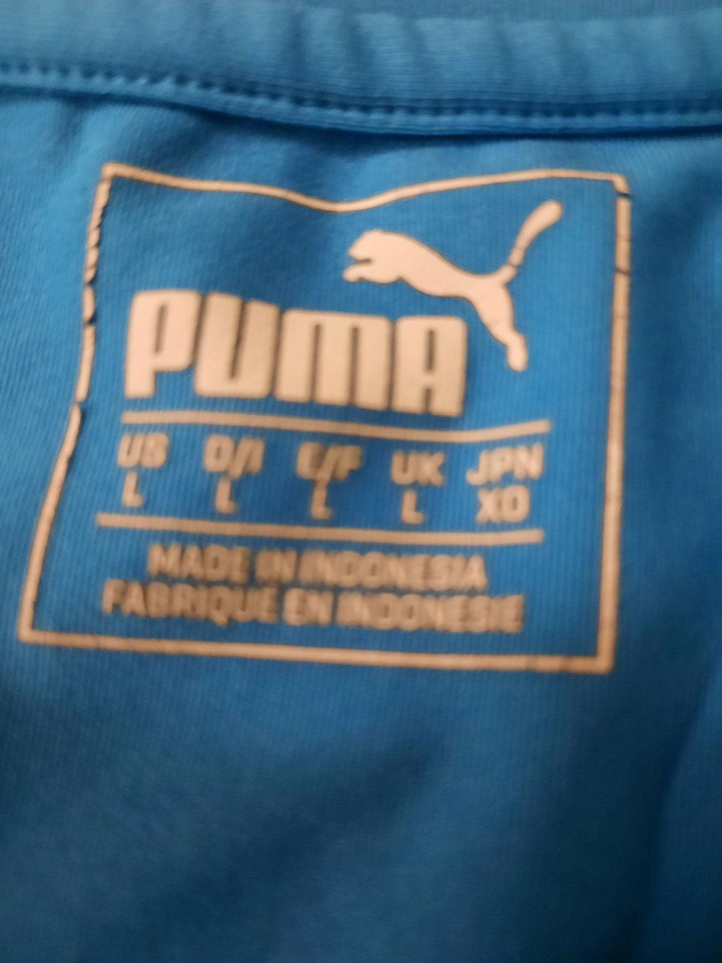 Puma Canottiere & Pantaloni: Puma Trikot – Usato da Niederglatt ZH venduto da Bobsli 2