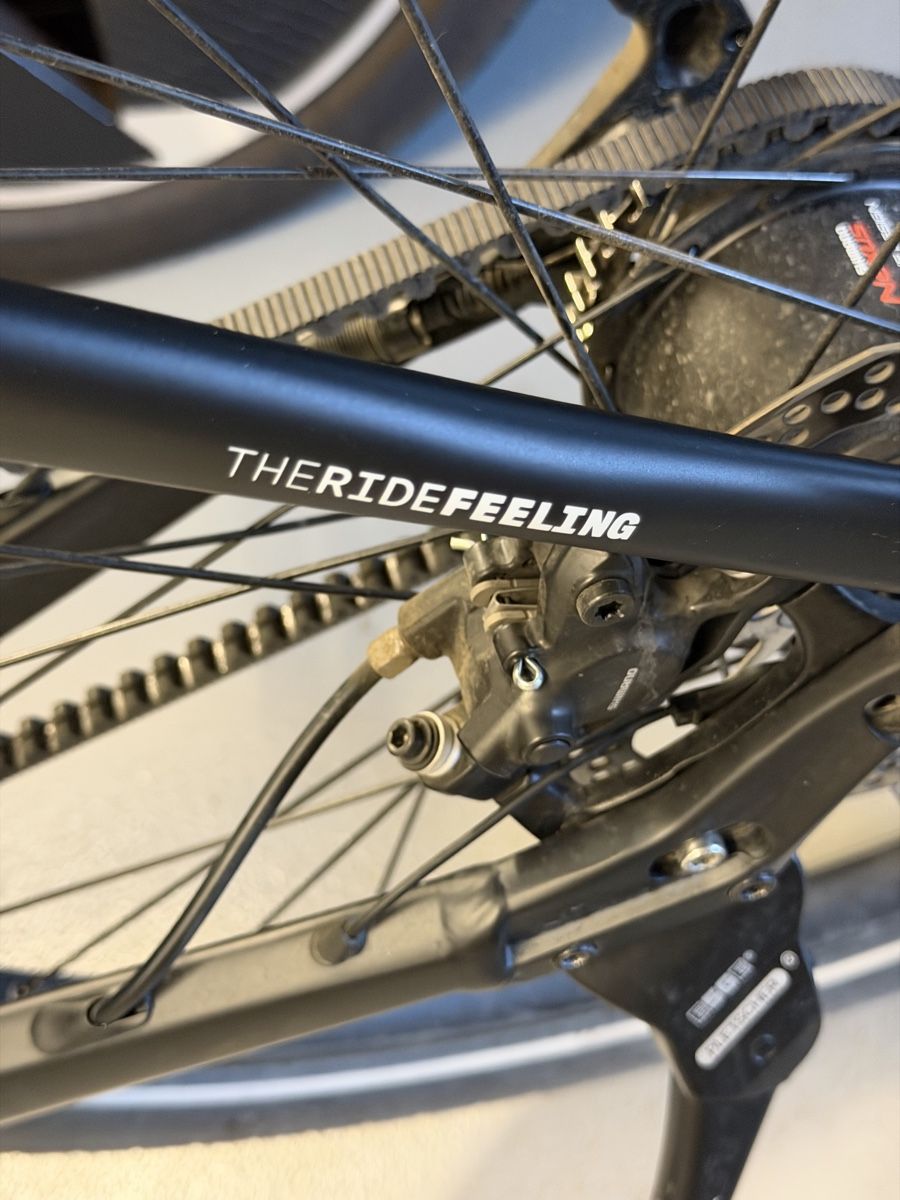 Bixs Vélos: Ebike Campus E20 – D'occasion à Beinwil (Freiamt) par 56AK37 2