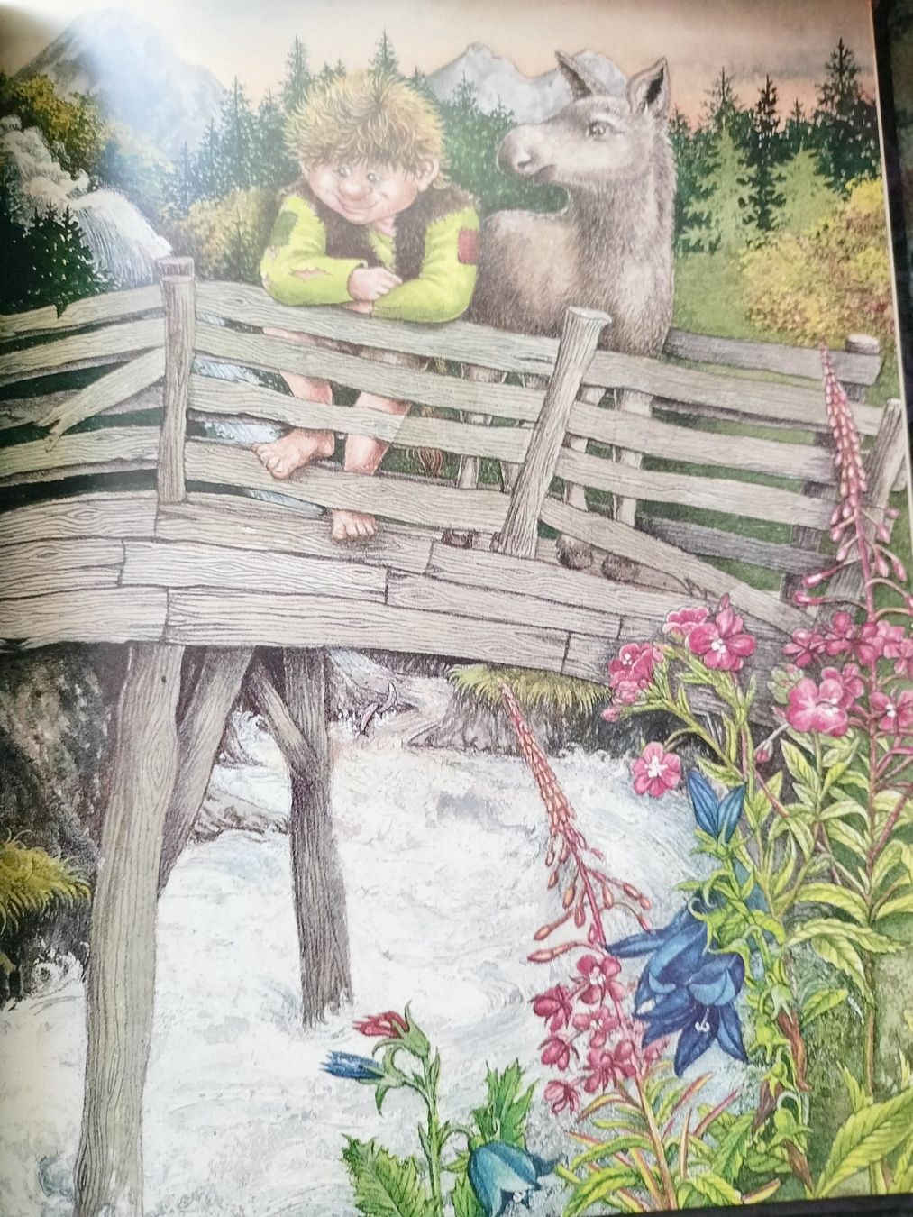 Livres: Petit Troll Tor Age Bringsvaerd – D'occasion à Cortaillod par rozinna 5