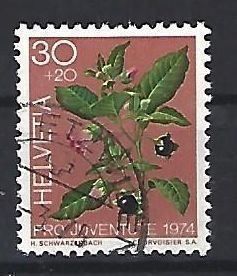 Tutti i francobolli: 1974 - PJ / Giftpflanzen / Tollkirsche – Usato da Schaffhausen venduto da poststamp