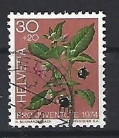 1974 - PJ / Giftpflanzen / Tollkirsche