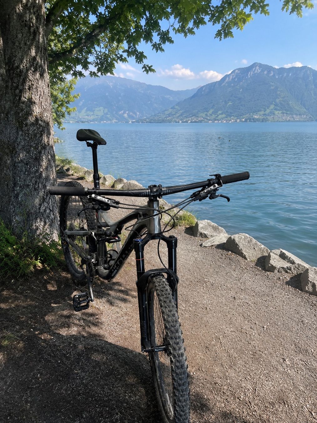 Specialized Vélos: Specialized Stumpjumper, 29 Zoll - Fully – D'occasion à Marthalen par H1tsch