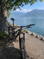 Specialized Stumpjumper, 29 Zoll - Fully