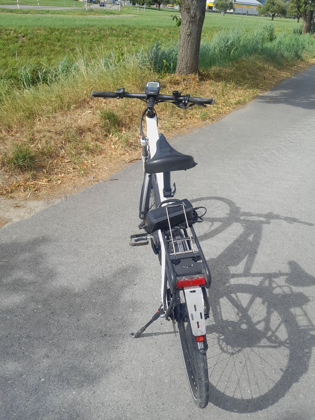 Flyer Velos: FLYER E-Bike – Defekt aus Altstätten SG von Dcondor 2