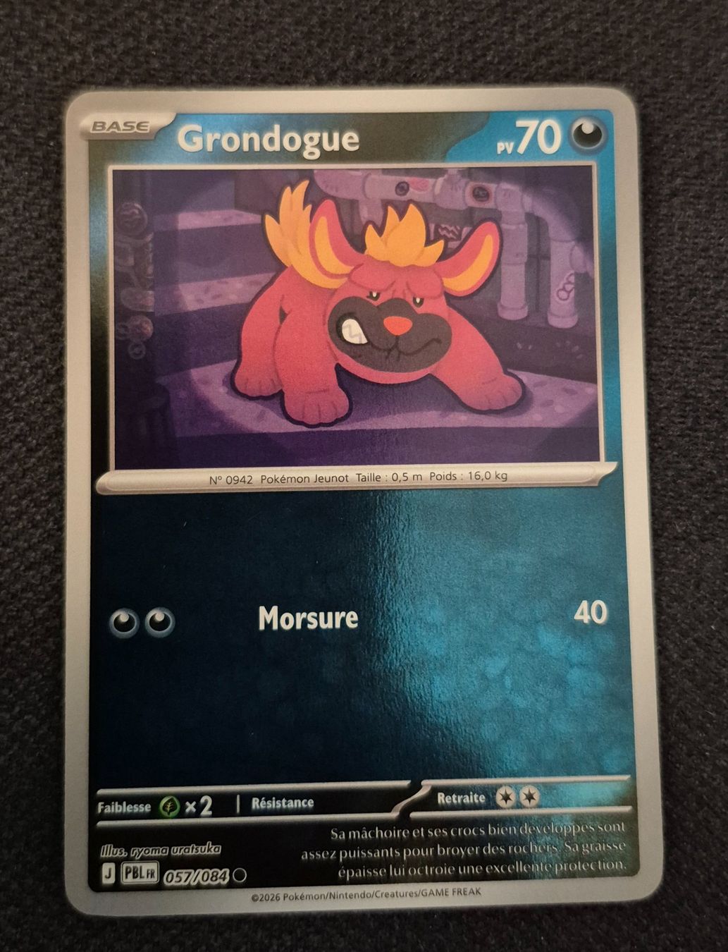 Pokémon Carte collezionabili: GRONDOGUE 057/084 REVERSE POKEMON NUIT NOIRE – Usato da Grand-Lancy venduto da luc111