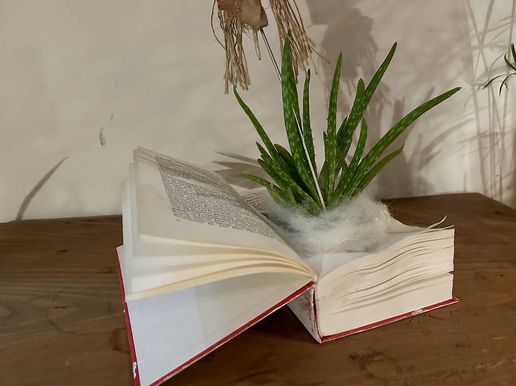 Libri: Aloe Vera im Buch – Usato da Frauenfeld venduto da Irene.Schuppli 2