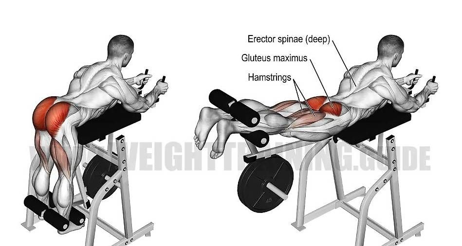 Hometrainer: **Reverse Hyper** Profi Gerät – Nuovo (secondo la descrizione) da Chur venduto da DanaChur 3