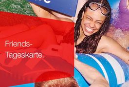 Friends-Tageskarte 2. Klasse bis 4 Personen, ab Fr. 29.--