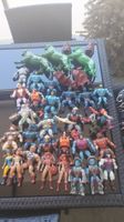 Masters of the universe Konvolut