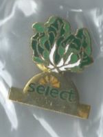 Select Pin