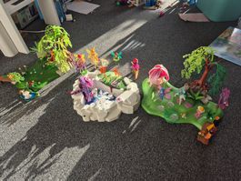 Playmobile Feen- und Zauberwelt