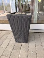 3 Blumen Töpfe Rattanstyl