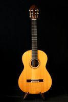 Legändere Corbellari Meistergitarre